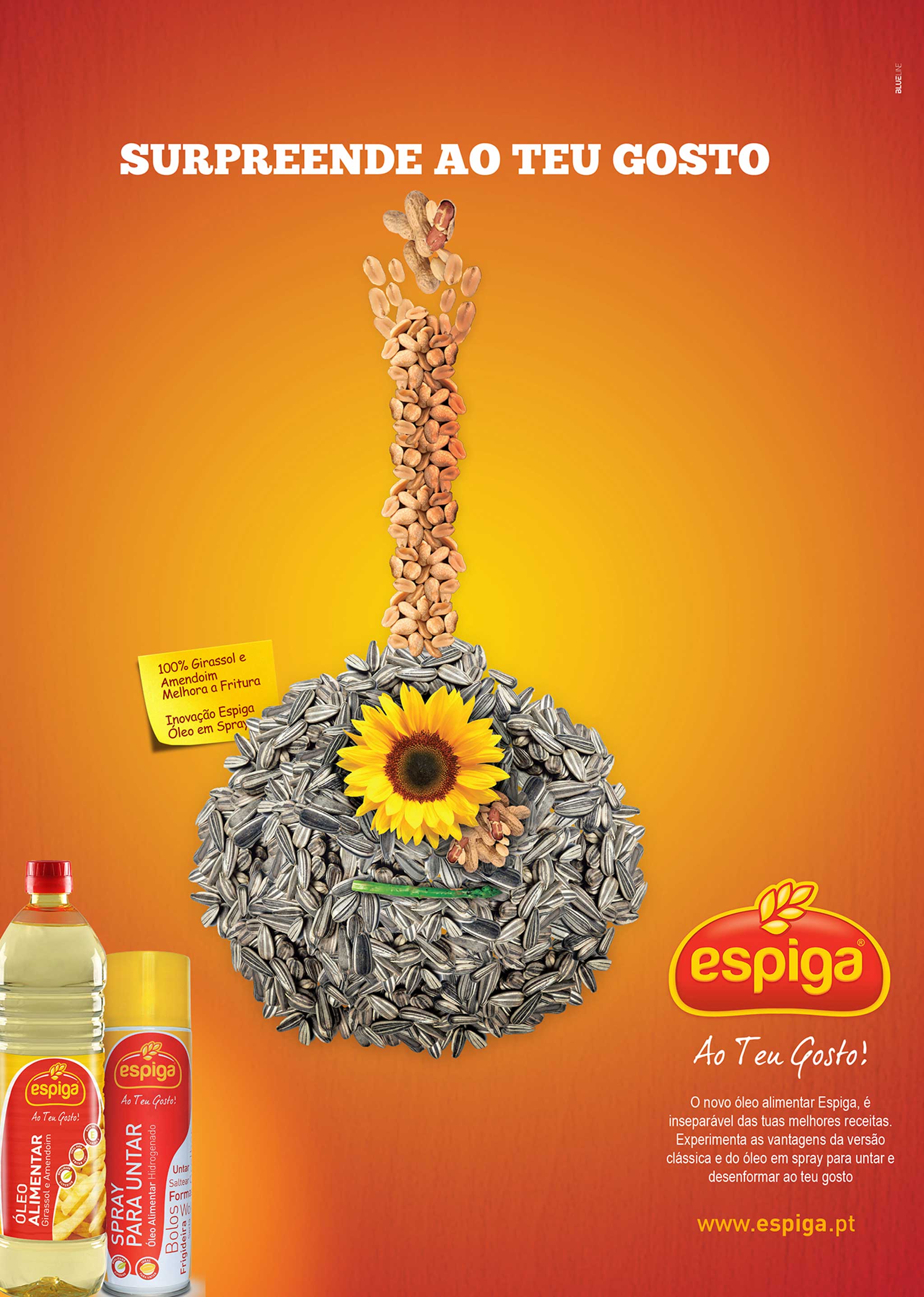 espiga_003